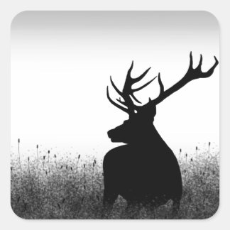 Sticker Carré Big Buck