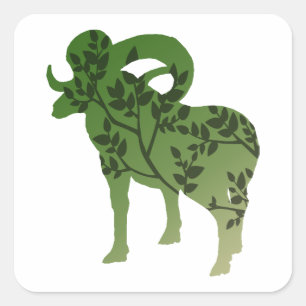 Sticker Carré Bighorn Sheep Tree