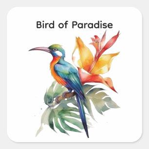 Sticker Carré Bird of Paradise, personnalisable