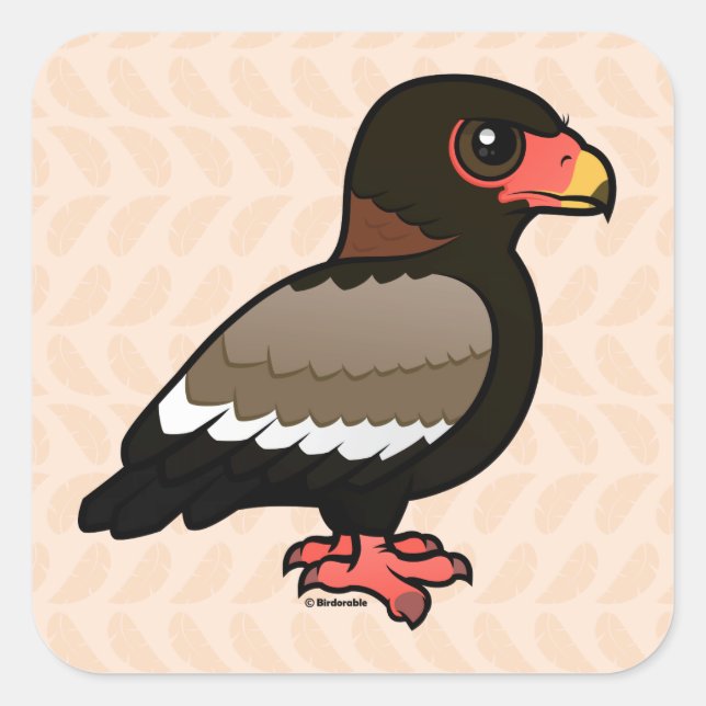Sticker Carré Birdorable Bateleur (Devant)
