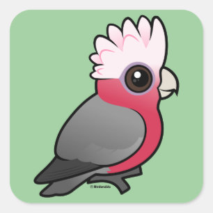 Sticker Carré Birdorable Galah