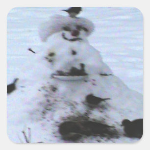 Sticker Carré Birdy