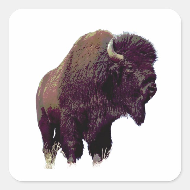 Sticker Carré Bison Buffalo Card (Devant)