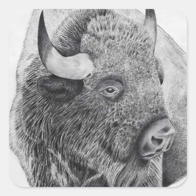 Sticker Carré Bison d'Amérique (Devant)