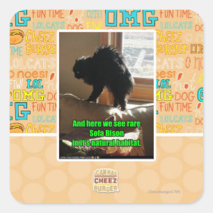 Sticker Carré Bison de sofa