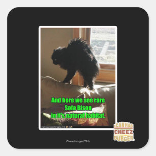 Sticker Carré Bison de sofa