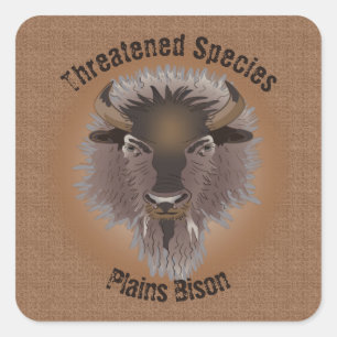 Sticker Carré Bison rustique des plaines de l'Ouest