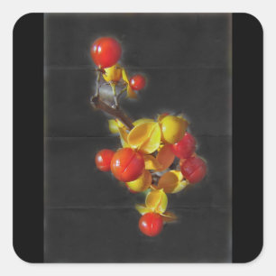 Sticker Carré Bittersweet Berries - Beauté d'automne