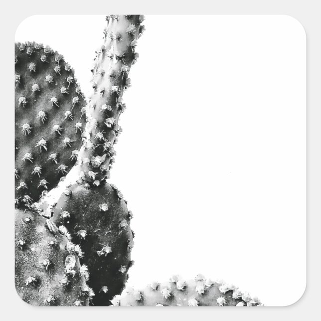 Sticker Carré Black and White Cactus Noir et Blanc (Devant)