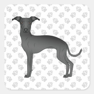 Sticker Carré Black Italien Greyhound Cute Cartoon Chien avec pa