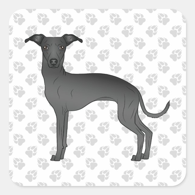 Sticker Carré Black Italien Greyhound Cute Cartoon Chien avec pa (Devant)