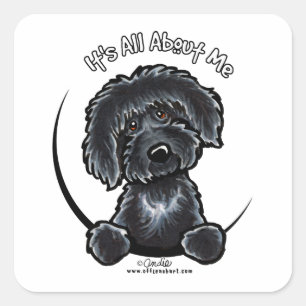 Sticker Carré Black Labradoodle IAAM