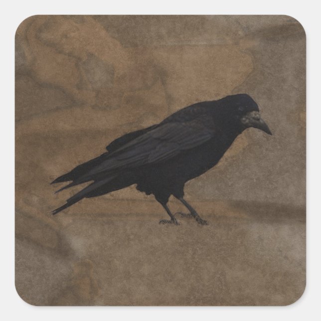 Sticker Carré Black Rook British Corvid et Rustic Arrière - plan (Devant)