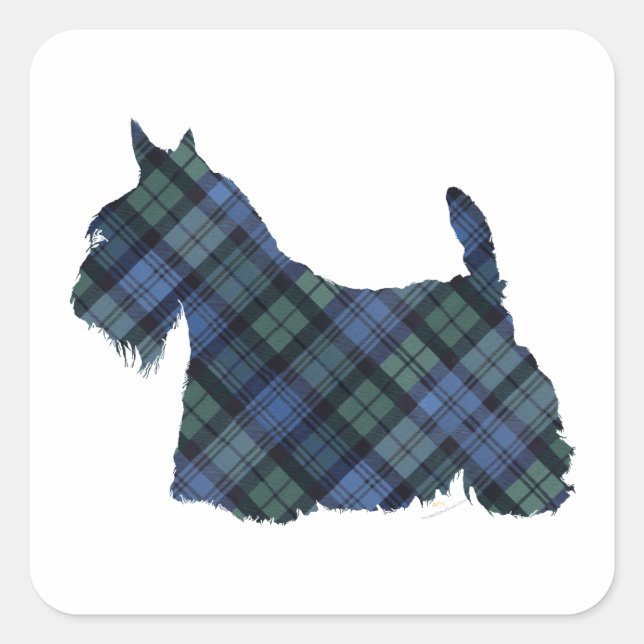 Sticker Carré Black Watch Tartan Scottish Terrier (Devant)