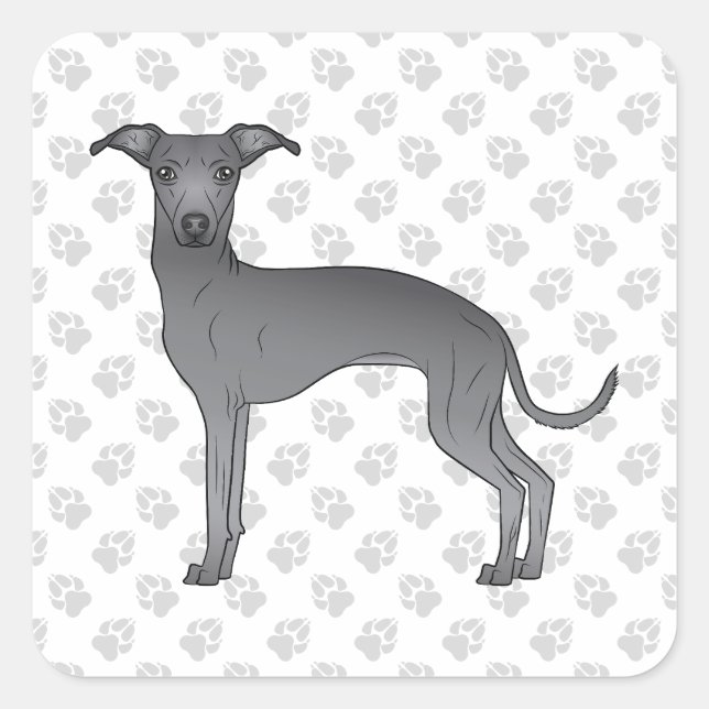 Sticker Carré Bleu Italien Greyhound Cute Cartoon Chien avec pat (Devant)