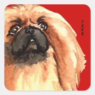 Sticker Carré Bloc de couleur Pekingese
