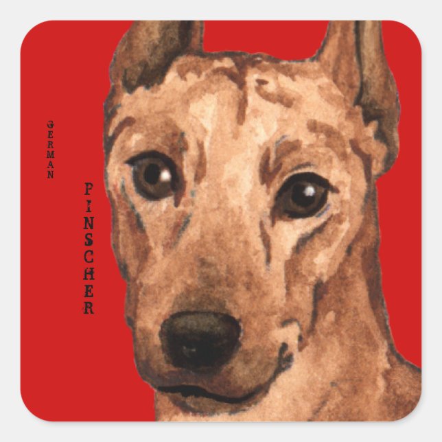 Sticker Carré Bloc de couleur Pinscher allemand (Devant)
