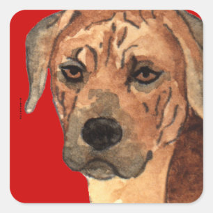 Sticker Carré Bloc de couleur Rhodesian Ridgeback