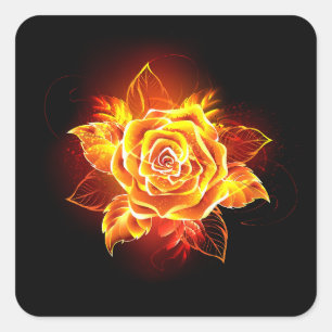 Sticker Carré Blooming Fire Rose