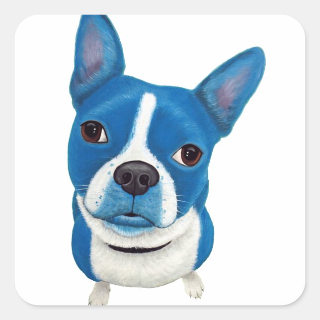 Sticker Carré Blue Boston Terrier (Devant)