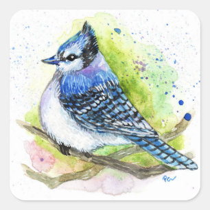 Sticker Carré Blue Jay