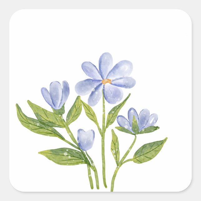 Sticker Carré Blue Wildflower Watercolor – Minimal Botanical (Devant)