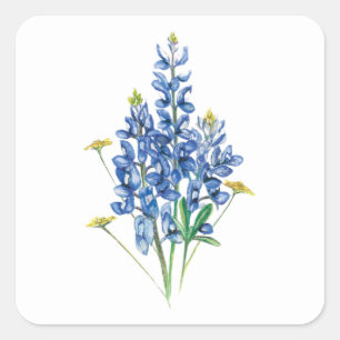 Sticker Carré Bluebonnets et Fleurs sauvages