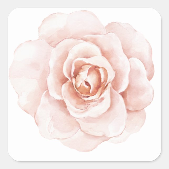 Sticker Carré Blush Rose Aquarelle Élégant Floral Romantique (Devant)