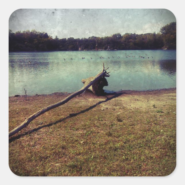 Sticker Carré Bois (Devant)