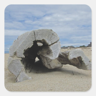 Sticker Carré Bois d'eau sur la plage de Calfornia Océan Pacifiq