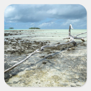 Sticker Carré Bois mort dans l'autocollant Pacifique