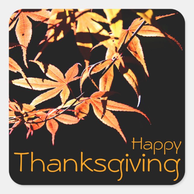 Sticker Carré Bon thanksgiving avec Maples - Couleurs d'automne (Devant)