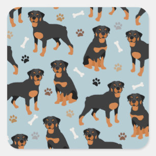 Sticker Carré Bones et pattes de chien Rottweiler