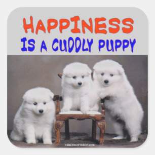 STICKER CARRÉ BONHEUR