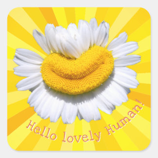 Sticker Carré "Bonjour bel humain !" Chamomile Smile Sunburst