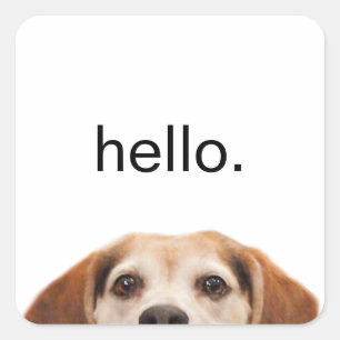 Sticker Carré Bonjour mignon chien Beagle moderne tendance