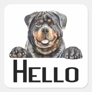 Sticker Carré Bonjour Rotie Chien Chien Chien Aquarelle Rottwei