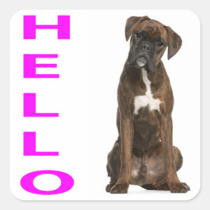 Sticker Carré Bonjour / Salut Boxer Chien Chien Chien Chien Viol