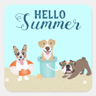Sticker Carré Bonjour Summer Beach Chiens Blue Orange