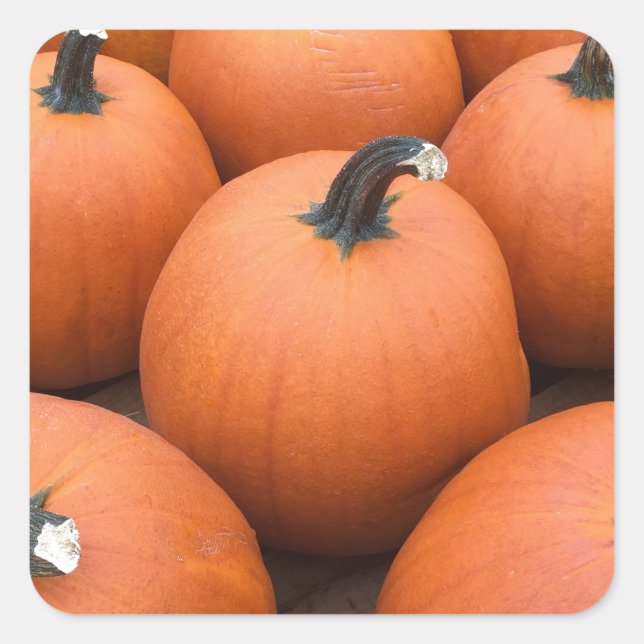 Sticker Carré Bonne Carving (Devant)