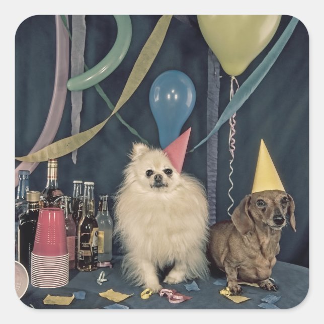 Sticker Carré Bonne fête d'anniversaire avec des chiens et des b (Devant)