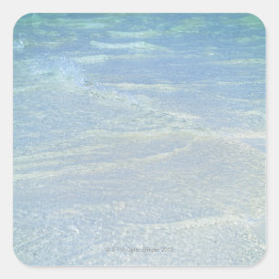 Sticker Carré Bord de l'eau 2