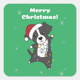 Sticker Carré Border Collie Christmas Dog Winter Animals Dogs Sq