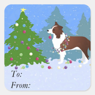 Sticker Carré Bordure Collie Chien Décoration Arbre de Noël