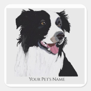Sticker Carré Bordure Collie Noir et blanc chien de compagnie -