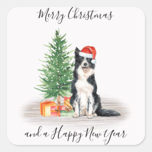 Sticker Carré Bordure Collie Père Noël Chien Joyeux Noël