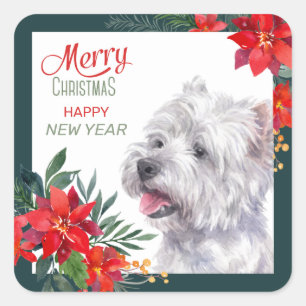 Sticker Carré Bordure de West Highland White Terrier Poinsettia