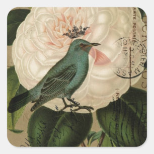 Sticker Carré Botanique français d'oiseau turquoise vintage de