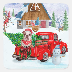 Sticker Carré Bouledogue anglais dans un camion de livraison de 