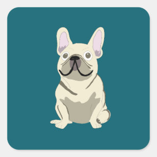 Sticker Carré Bouledogue Français Crème